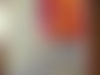 本会と田辺聖子さん(2)