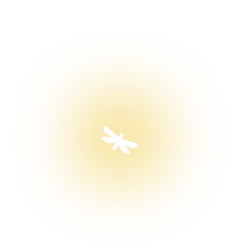 Diseño sin título (1).png