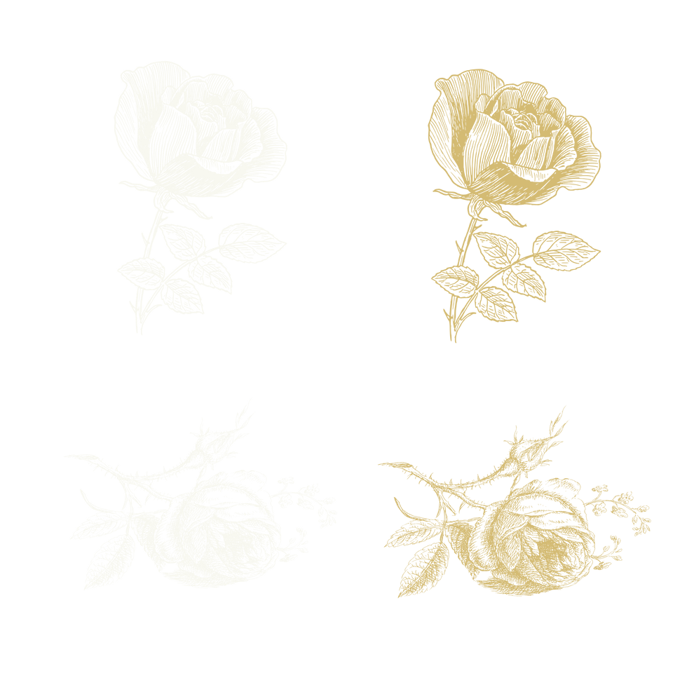 Diseño sin título (5).png