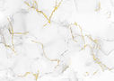elegant_hand_painted_alcohol_ink_background_with_gold_glitter_0609.jpg