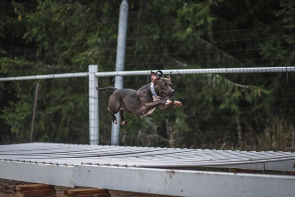 314409880_654316986298975_877888393295700686_n