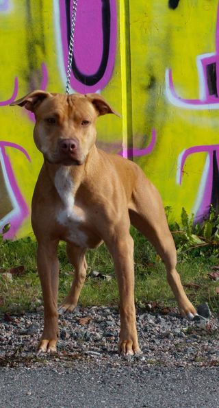 313196404_868989820943721_2835225931739700197_n