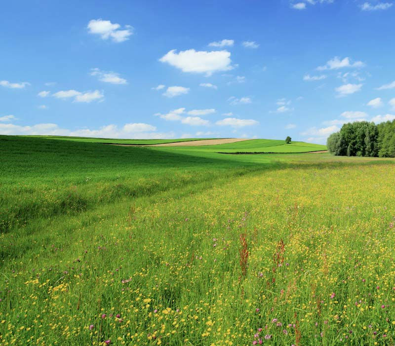 background3.jpg