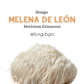 Así conocí la Melena de León