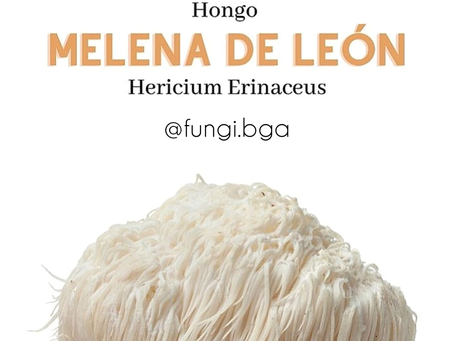Así conocí la Melena de León