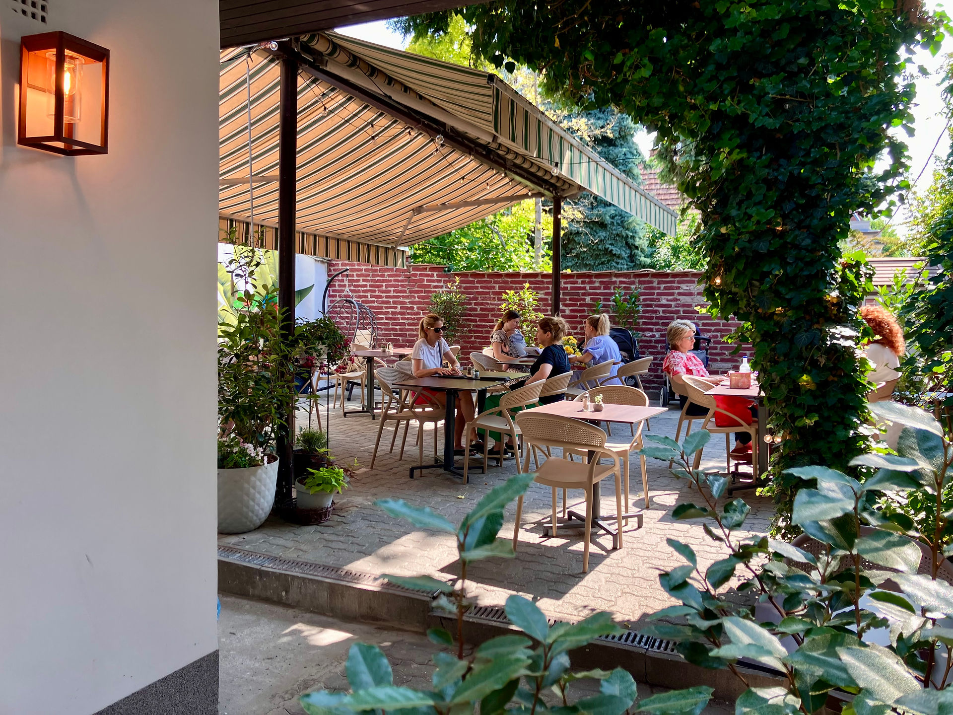 Szentendre Brunch garden