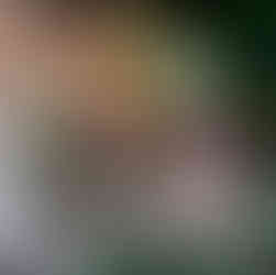 Szentendre Brunch kert