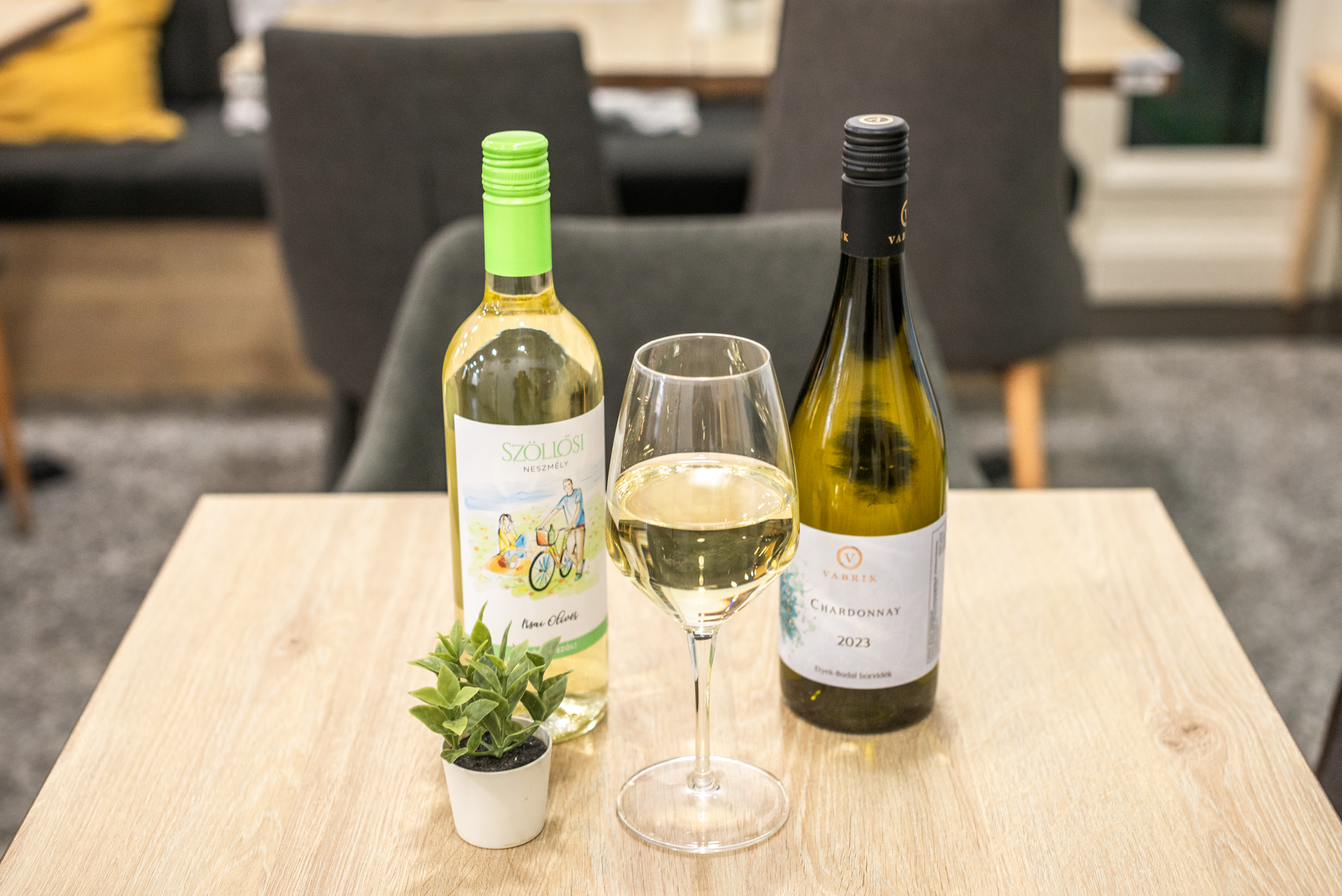 Arranged Food and Objects