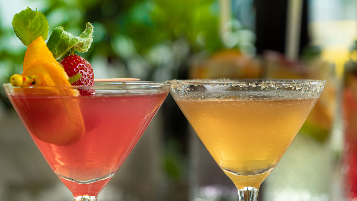 Arranged Food and Objects