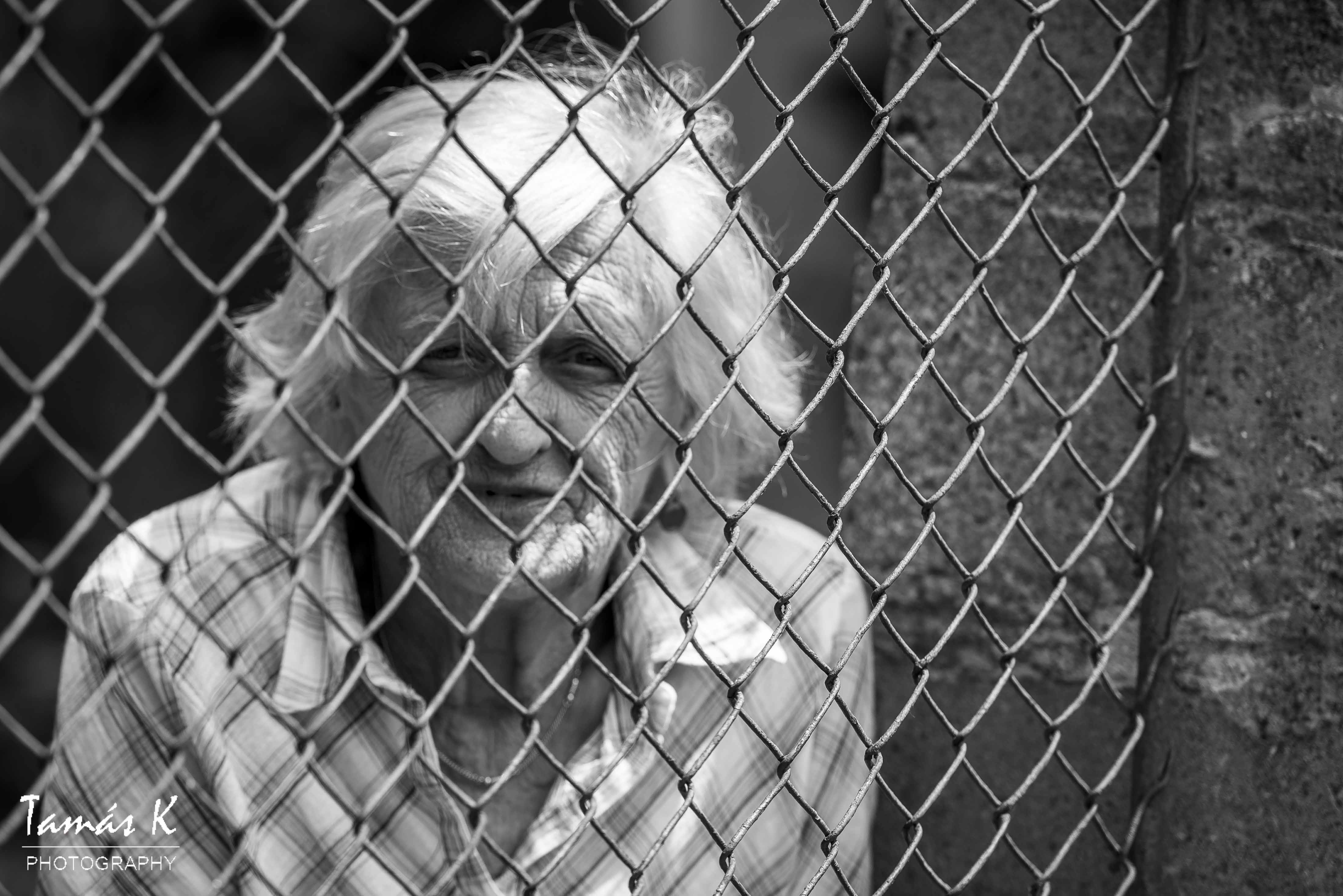 Portrait of an old lady