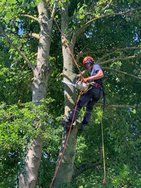 WhatsApp Image 2022-09-12 at 9.14.51 PM (1).jpeg