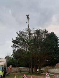 WhatsApp Image 2022-09-12 at 9.19.04 PM.jpeg