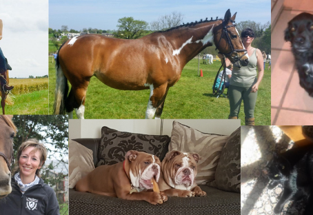 Welcome to House, Horse & Hounds