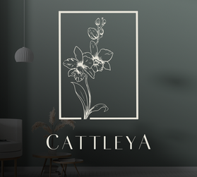 Monster Pile Creative Studio, Monster Pile, Monster Pile Studio, Packaging, Branding, Logo, Design, CPG, Creative Design, Graphic Design, Social