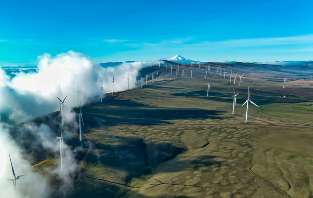 Mt Hood & Big Fans.jpg
