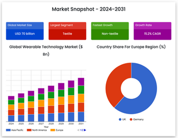 Healthcare Market Snapshot 2024 - 2031