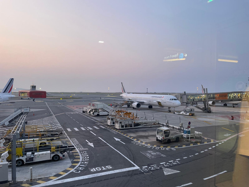 Nice Airport Terminal 1