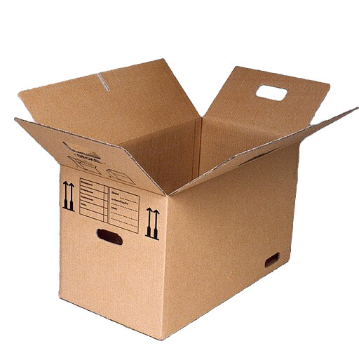 Carton de 50 sachets de pastilles HandyClean 100% biodégradables