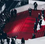 International Movie Stars on the Festival de Cannes red carpet