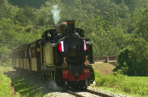 blog-train-pignes.jpg