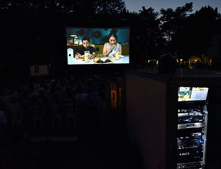 screen by night.jpg