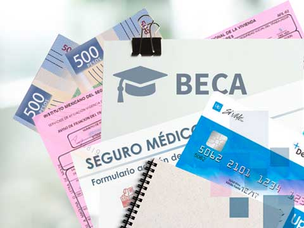 PREVISIÓN SOCIAL, TRATAMIENTO Y EFECTOS DE NO ENTREGARLA EN ESPECIE.