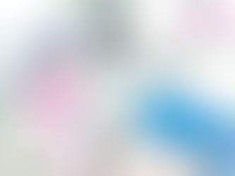 PREVISIÓN SOCIAL, TRATAMIENTO Y EFECTOS DE NO ENTREGARLA EN ESPECIE.