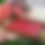 Thumbnail: Aroma Candle 50 piece T-light fragrance red colour 