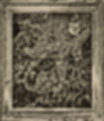 Gnarled Roots in Frame