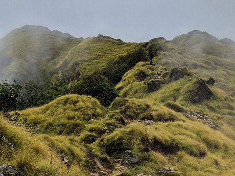 The Genius is in the Unknown