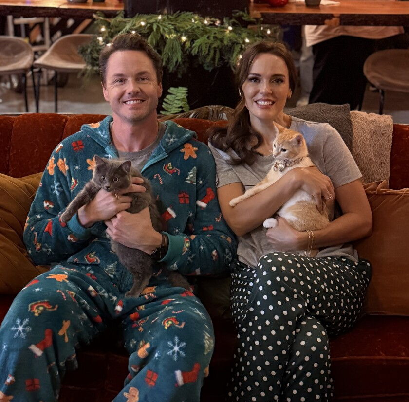 Christmas at the Catnip Cafe