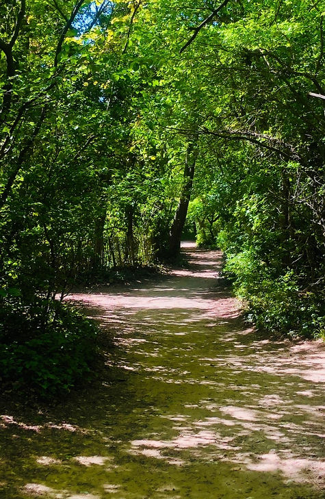 chemin saint pons.jpg