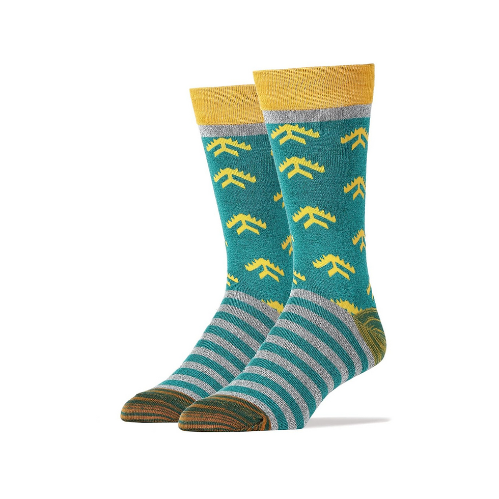 Lafayette Ave Men's Bamboo Socks