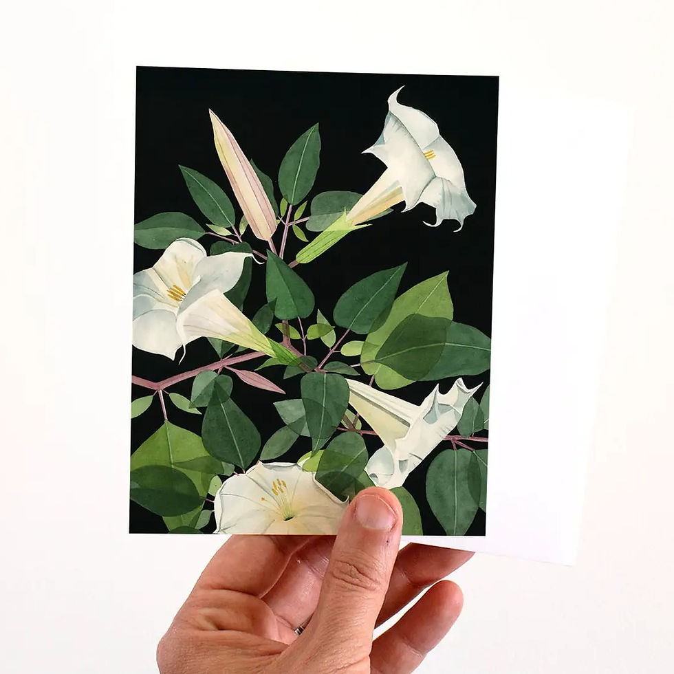 Moonflowers Note Card Set/8
