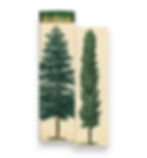 Box of 50 Fireplace Matches in Tall Trees