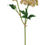 Thumbnail: Blush Sedum Flower Stem