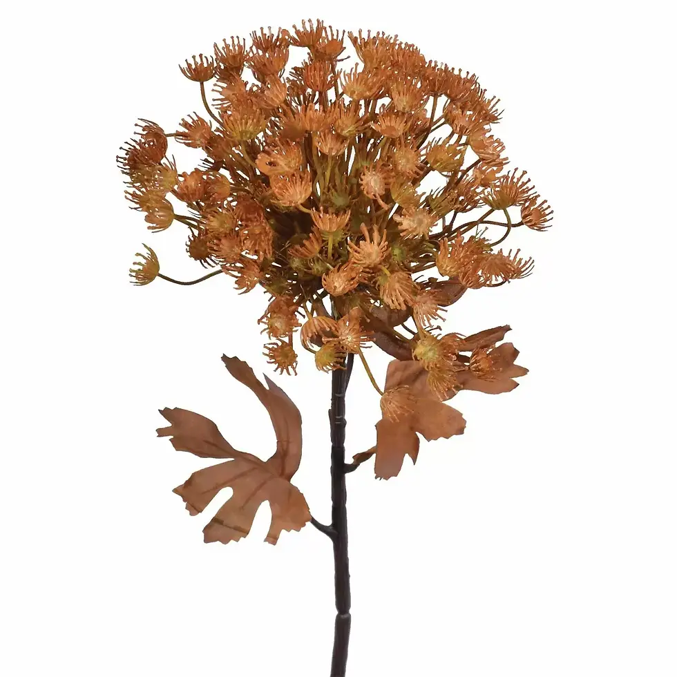 Dill Weed Spray in Brown