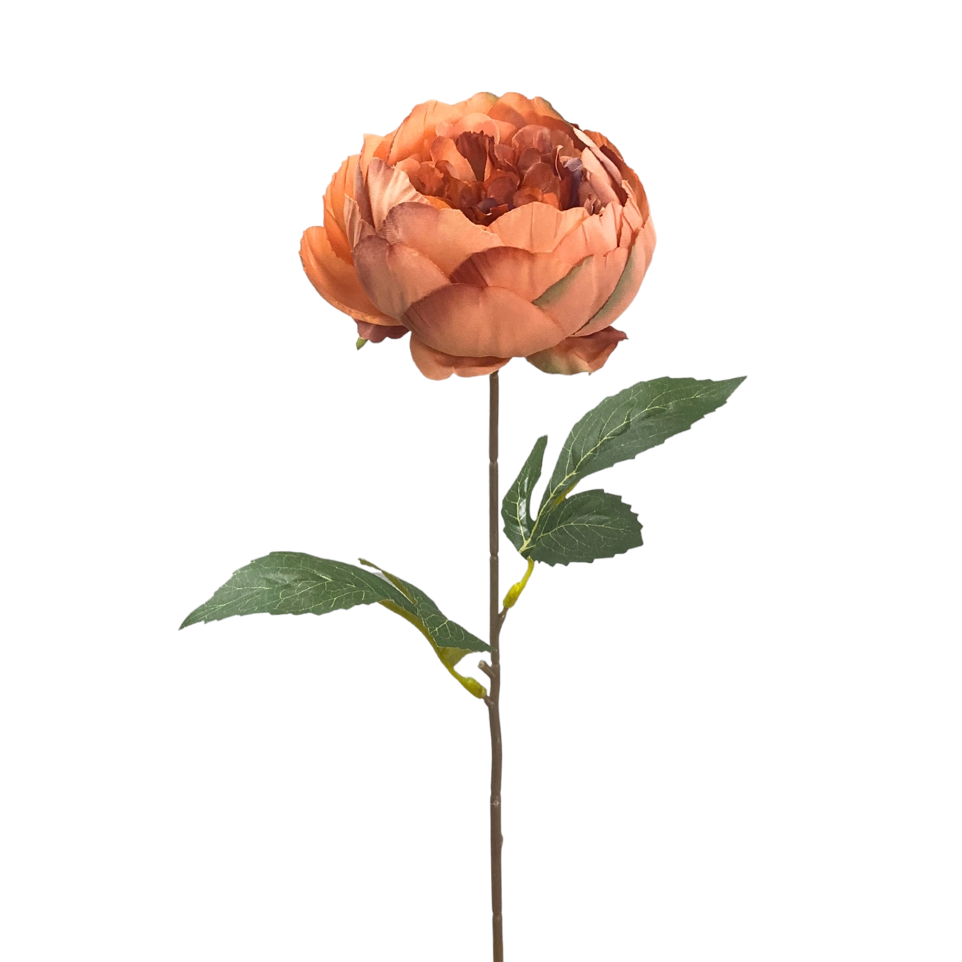 Garden Peony Stem Large in Salmon