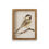 Thumbnail: Framed Prints of Birds - 4 Designs