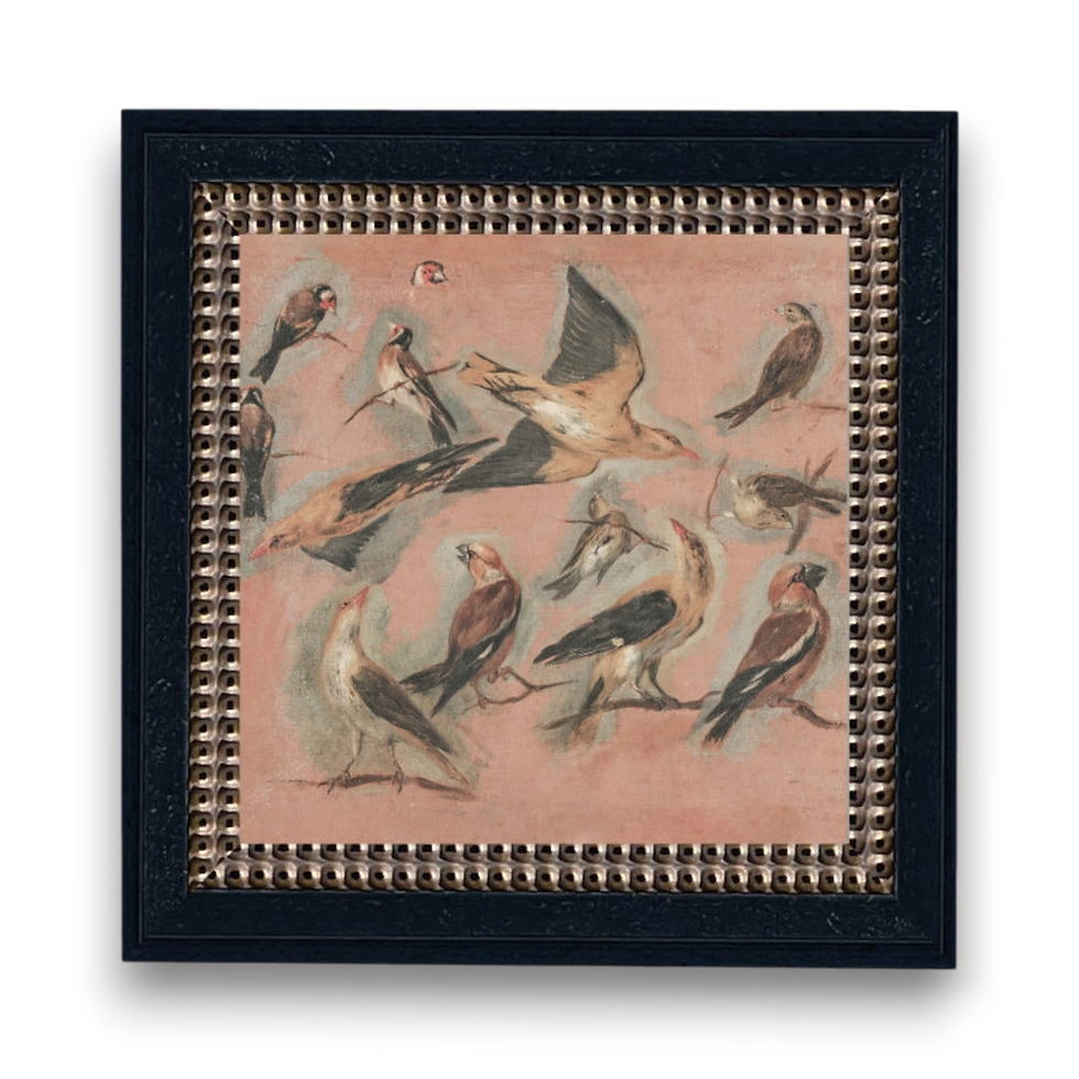 Pink Birds Framed Canvas Art