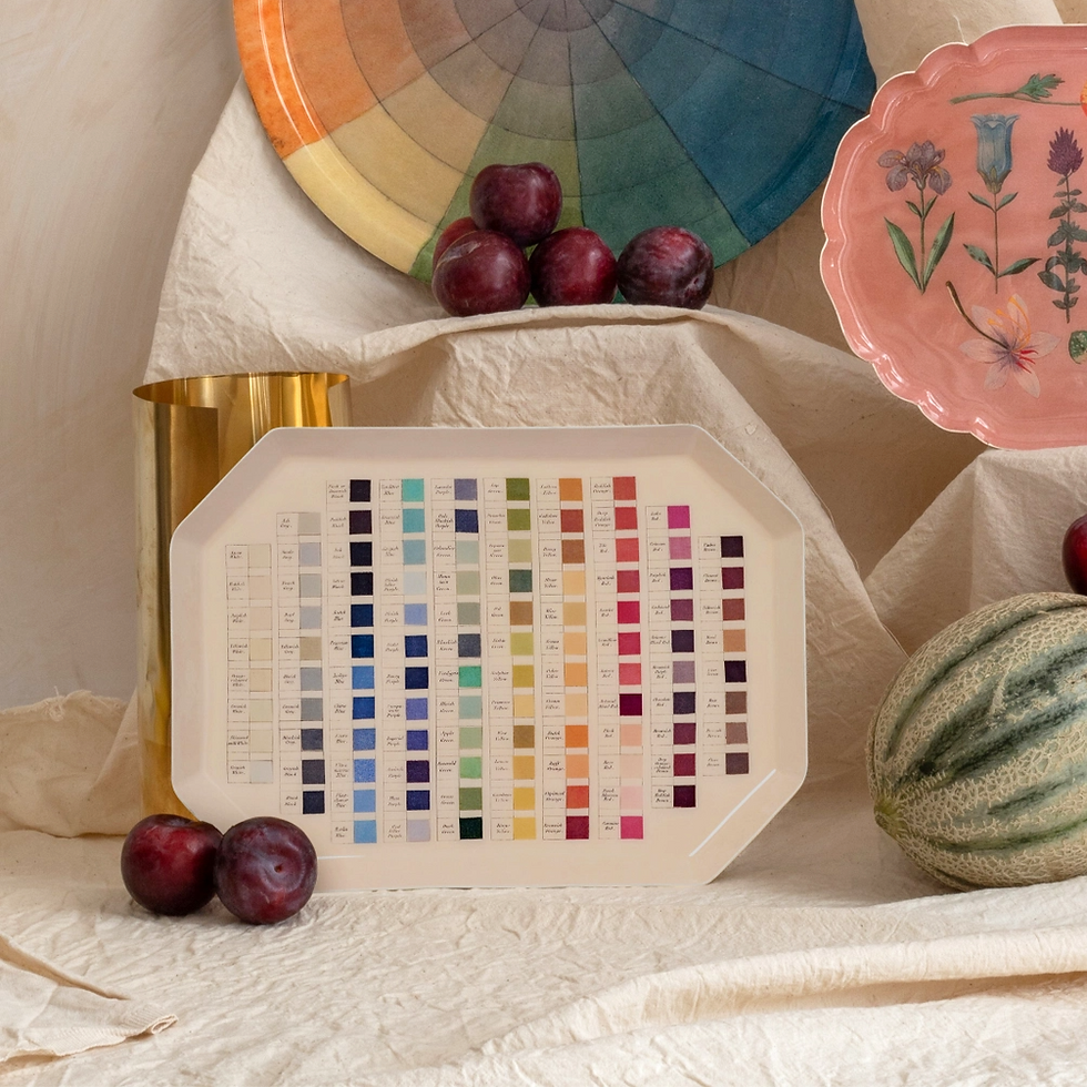 Octagonal Enamel Tray - Werner's Nomenclature of Colours