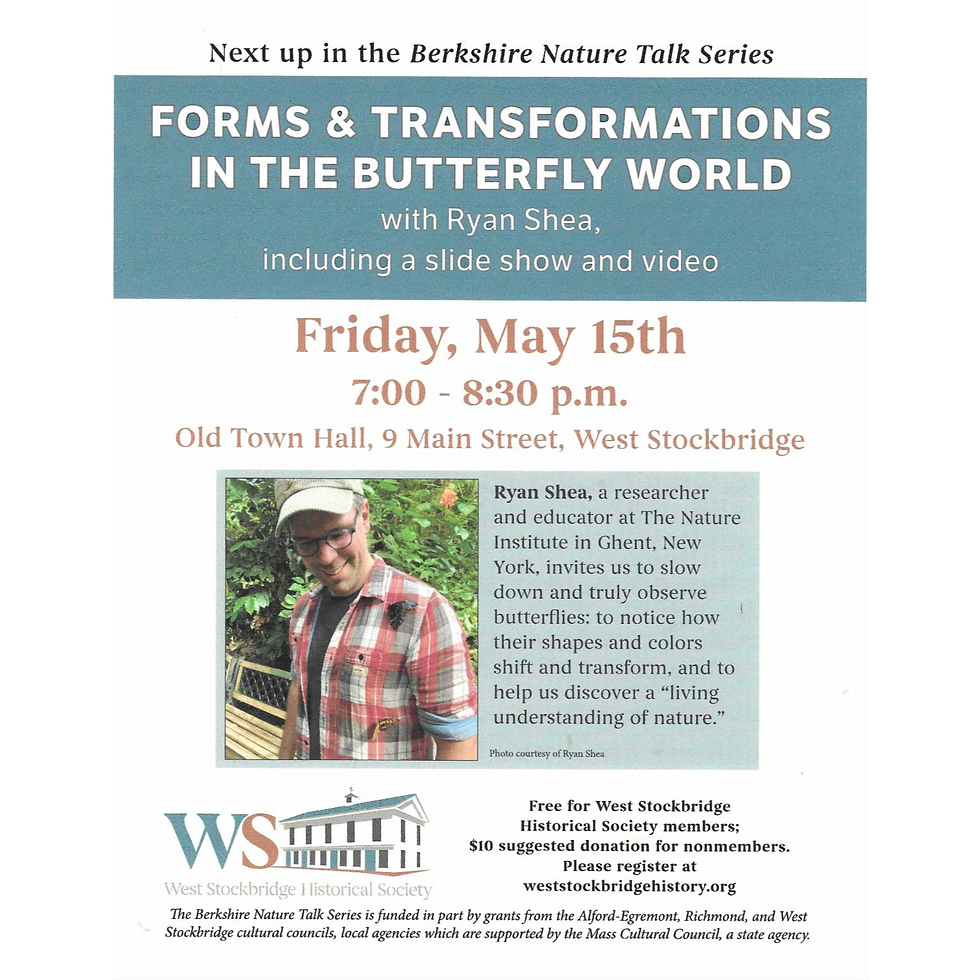 Forms and Transformations in the Butterfly World - Ryan Shea, The Nature Institute