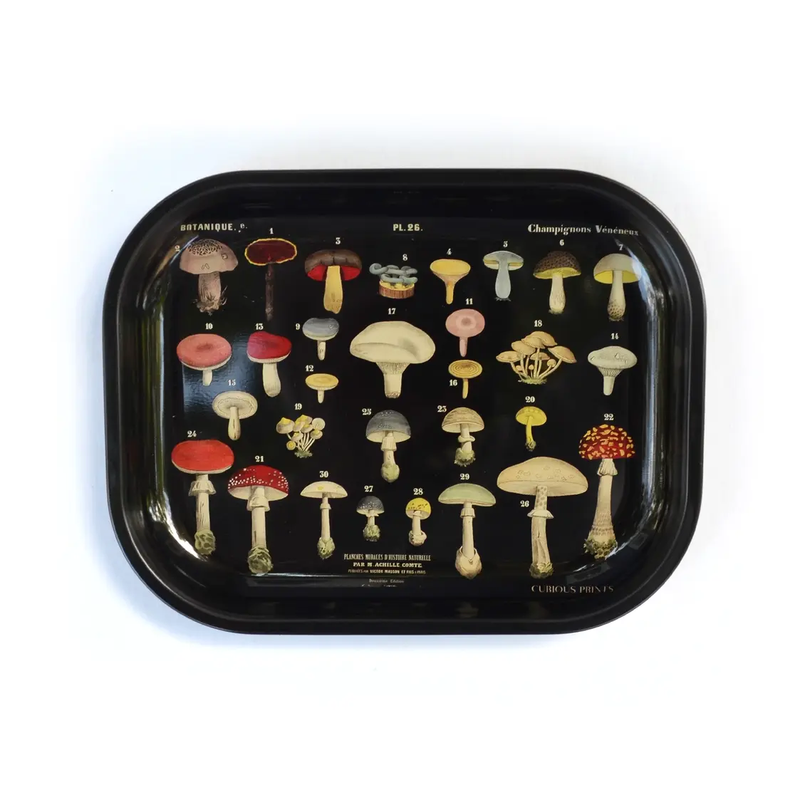 Metal Mushroom Tray