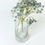 Thumbnail: Siena Handblown Glass Bud Vase in Clear