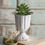 Thumbnail: Tin Scalloped Cup or Planter