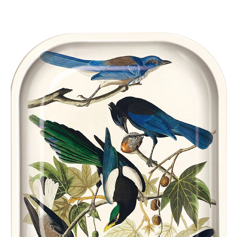 Metal Vintage Audubon Magpie + Jaybirds Tray