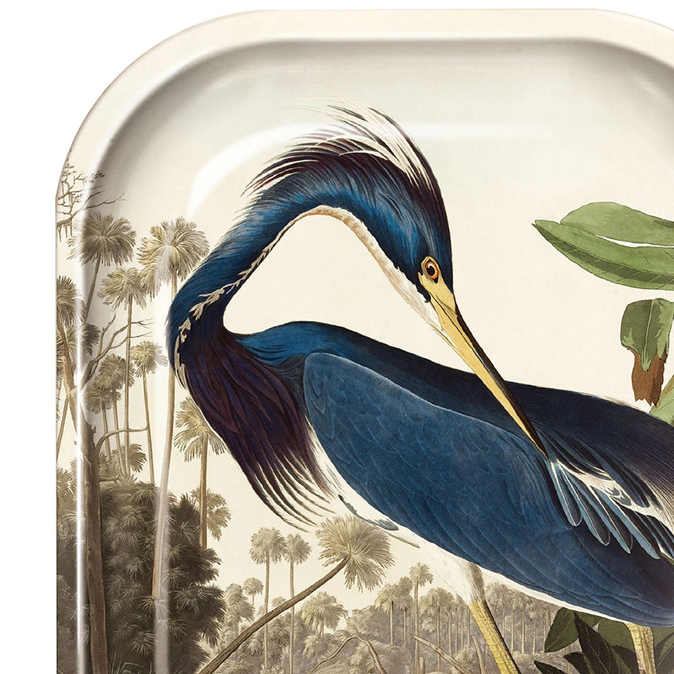 Metal Vintage Audubon Louisiana Heron Tray