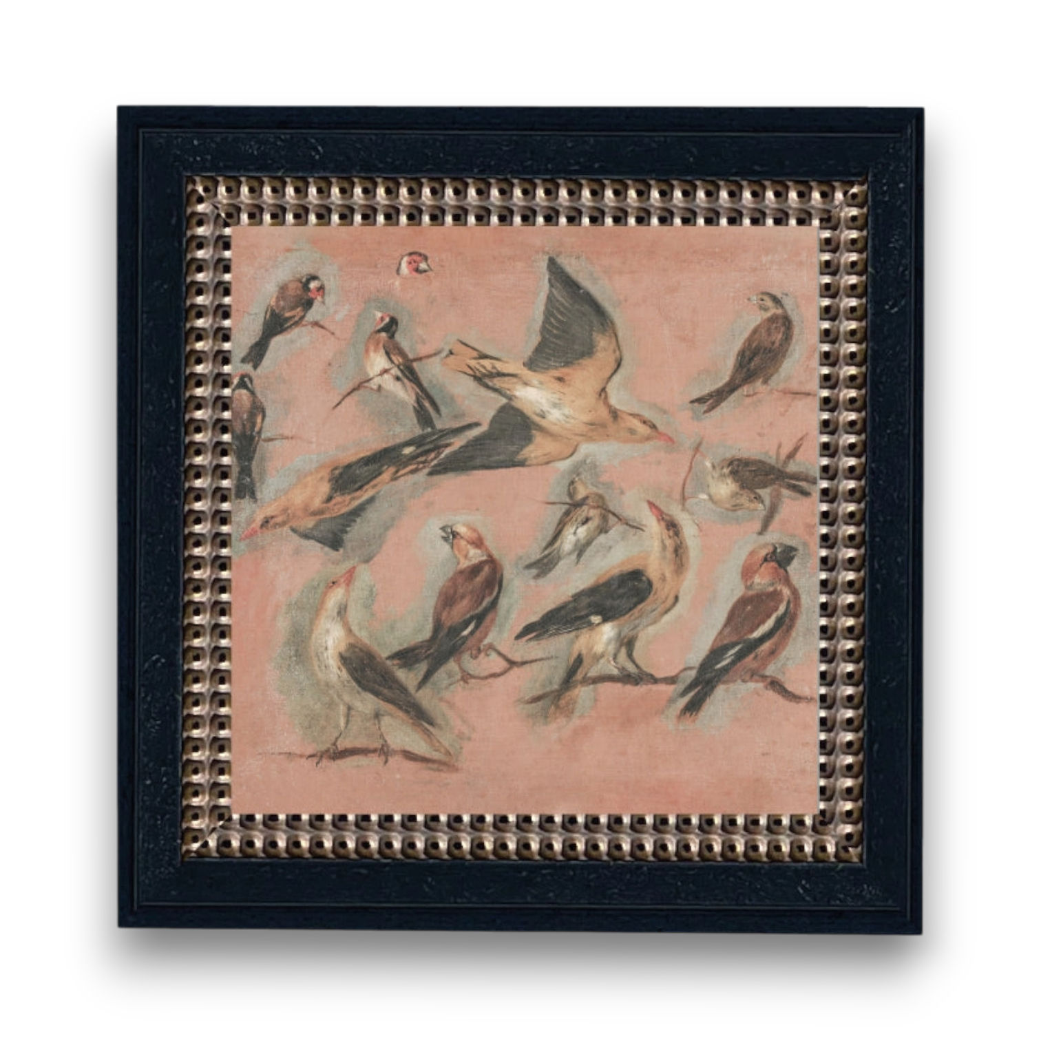 Pink Birds Framed Canvas Art