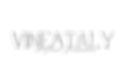 VinEataly's logo (1).png