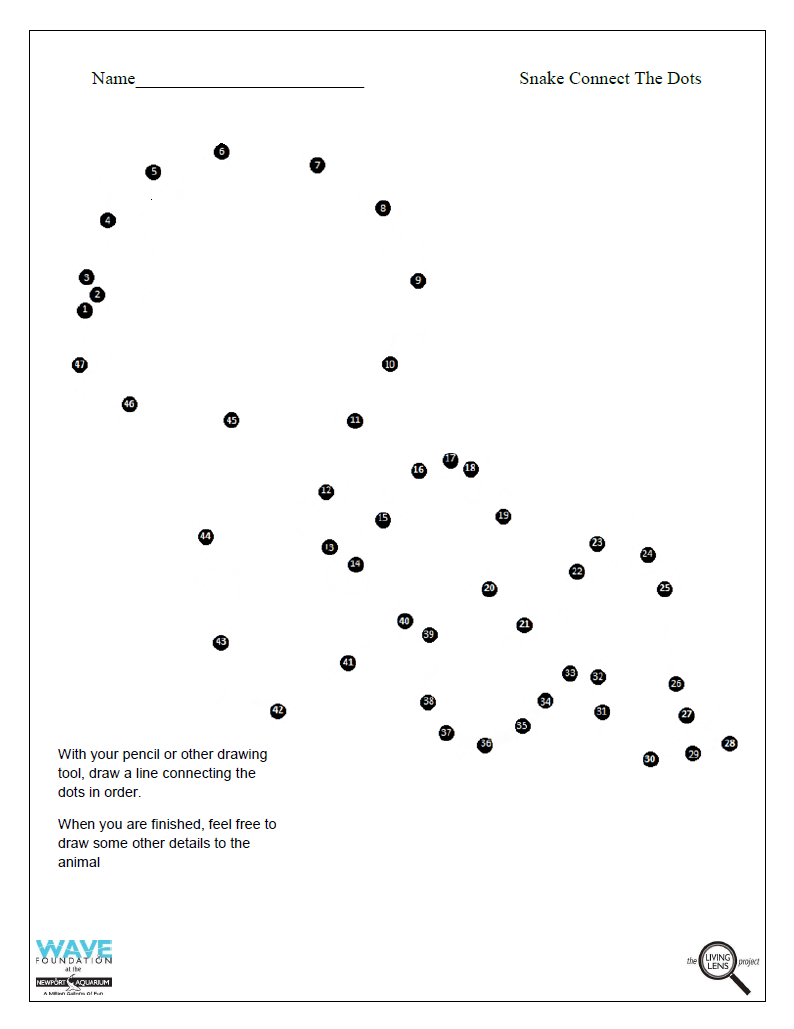 Connect the Dots